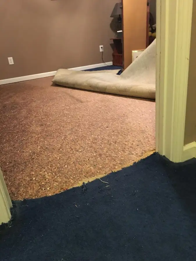 Carpet pad removal revealing water damage during Drying & Dehumidification in Dearborn