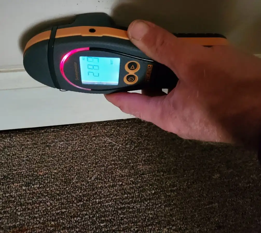 Moisture detection at baseboard during Sewage Cleanup & Sanitation in Dearborn